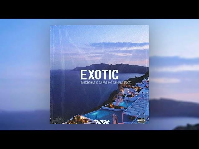 FREE DANCEHALL/AFROBEAT LOOPKIT 2021 - "EXOTIC" | Wizkid, Burna Boy, Davido, Bad Bunny, Drake & more