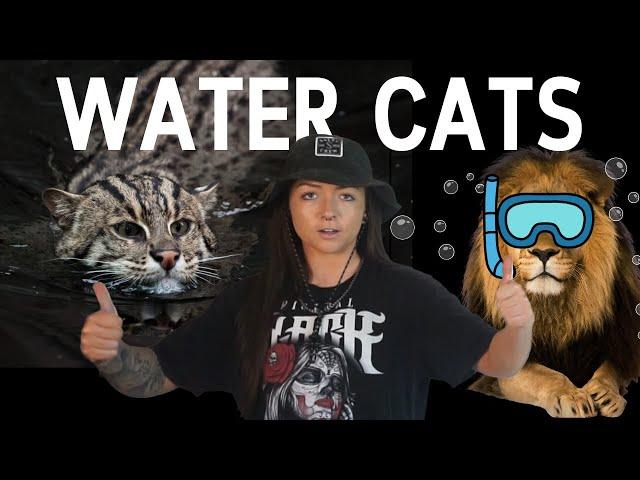 Cats that evolved for LIFE in the WATER