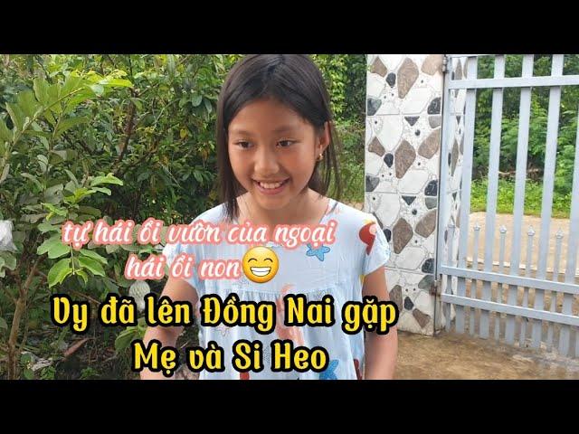 46#Cuộcsống Thụy Điển.Vy đã lên gặp Mẹ và Si Heo #cuocsongthuydien #cuộcsống #châuâu