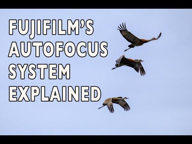 The Fujifilm X-Series Autofocus System Explained