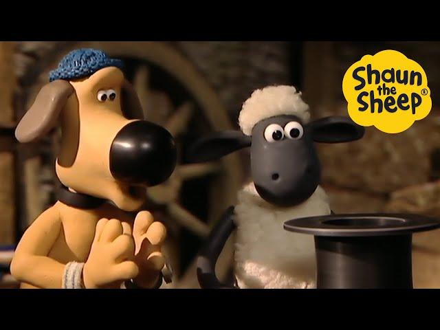 Shaun the Sheep  It's Magic….sheep - Cartoons for Kids  Full Episodes Compilation [1 hour]