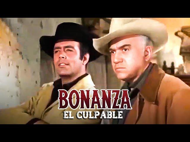 Bonanza -  El Culpable (The Guilty) | Ver Doblaje en Español