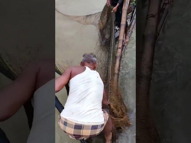 villagers bainar jaley daki jaal daiy mass darsey wow #abdulsamifishing #video