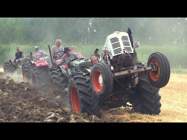 Old tractors | Landini testacalda, FIAT, SAME - Aratura & show @ Roncoferraro (MN)