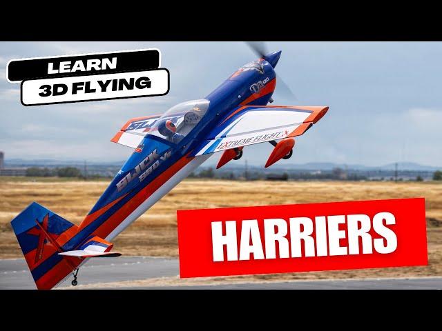 How to fly 3D like a pro: Harriers and inverted harriers (tx camera)