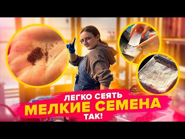 ЛЕГКО ПОСЕЯТЬ МЕЛКИЕ СЕМЕНА! Лобелия, петуния