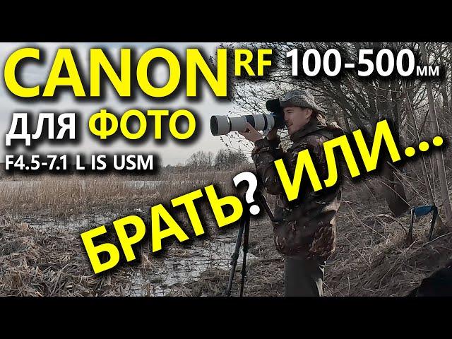 Фотоохота с Canon RF 100-500mm F4.5-7.1 L IS USM /Canon R5