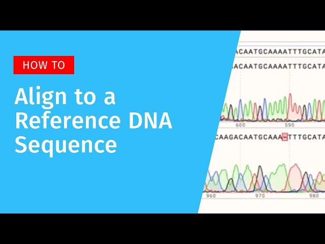 Aligning to a Reference DNA Sequence in SnapGene