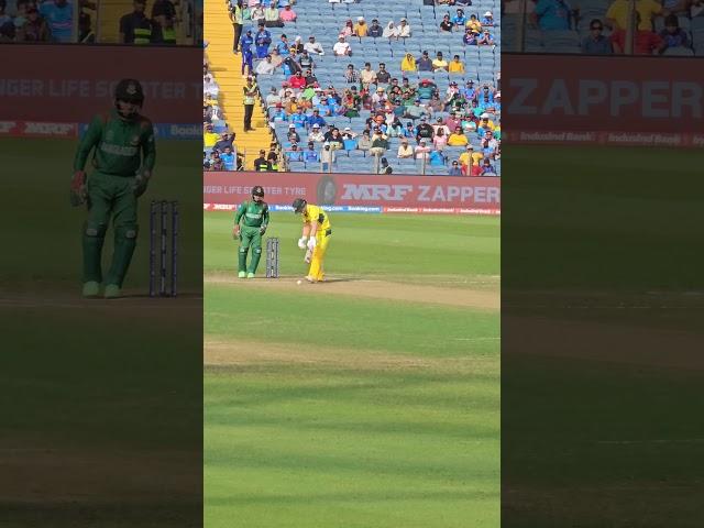 Warner's Mind Games #1 #cricket #cwc #australia #shorts #viral #warner