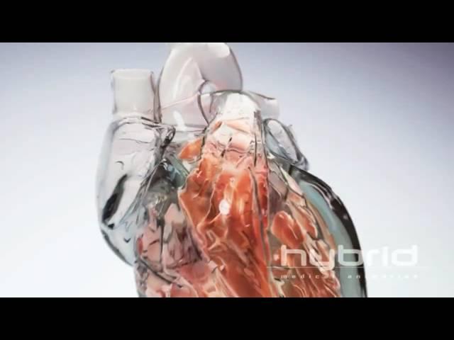 Glass Heart (Hybrid Medical Animation) HD