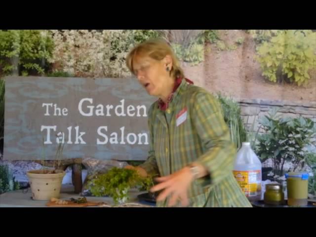 Nature's Kitchen: Preparing Ramps, Pickled Kale and Chickweed Salad Dressing GTS 2016