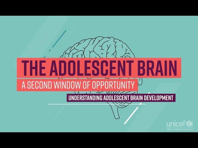 The Adolescent Brain: A second window of opportunity