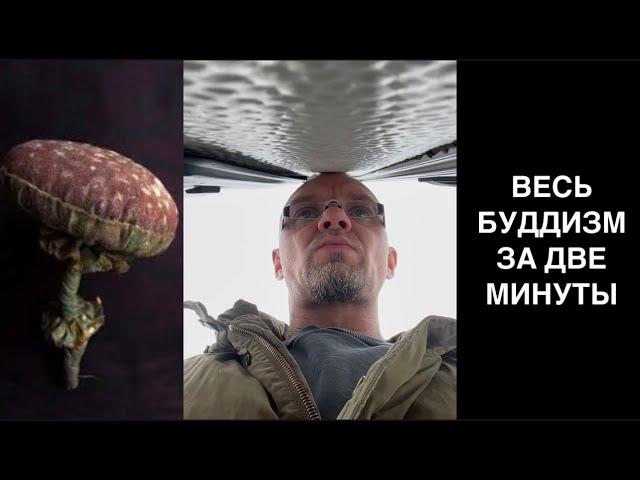 "ВЕСЬ БУДДИЗМ ЗА ДВЕ МИНУТЫ"