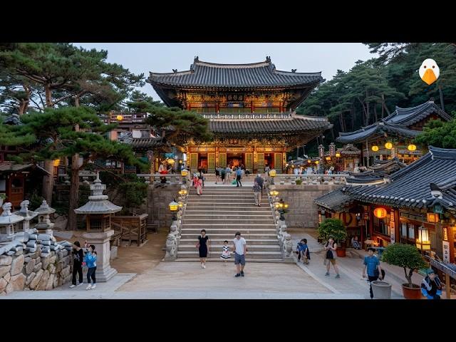 Gyeongju, South Korea The Ancient Capital with Over 1000 Years of History (4K UHD)