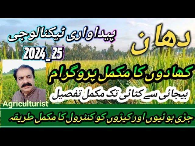 Production technology of rice crop 2024 _25 | Rice crop | zarai mashwary