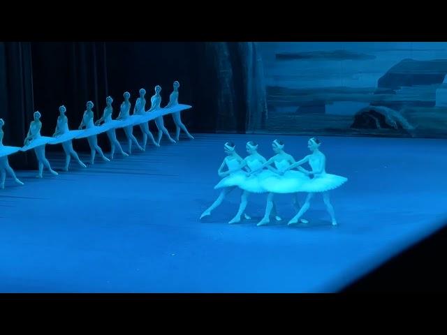 «Лебединое озеро», танец маленьких лебедей #большойтеатр #ballet