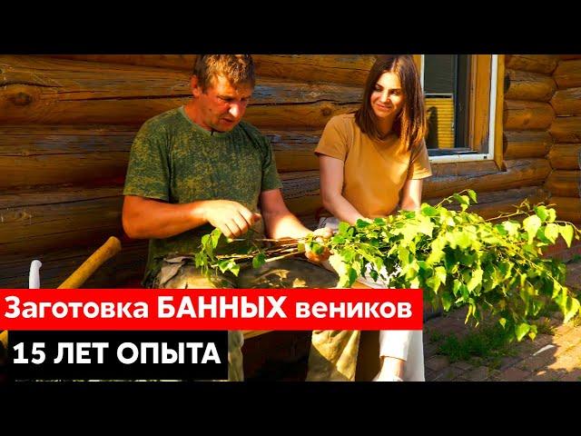Заготовка БАННЫХ веников || 15 лет ОПЫТА