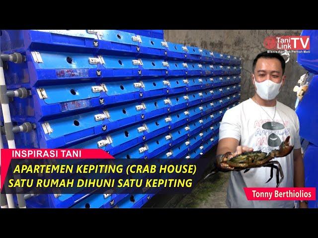 Budidaya Kepiting Sistem Vertical Crab House, Lebih Efisien Resiko Kematian Rendah