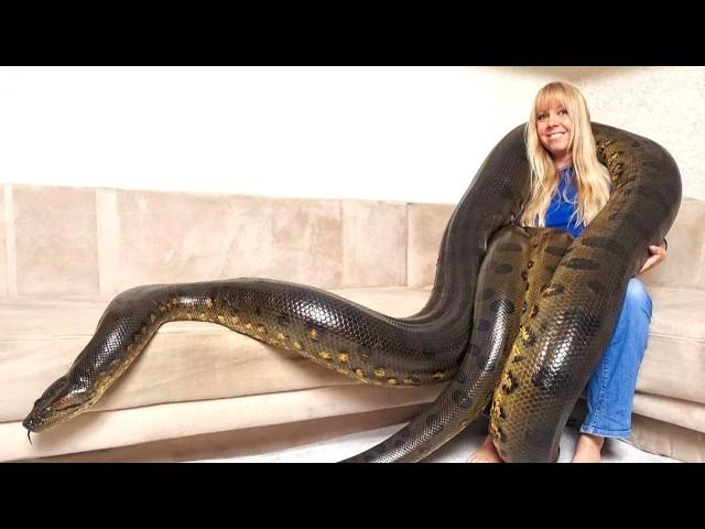 This Woman Owns Biggest Most Unusual Pet Ever