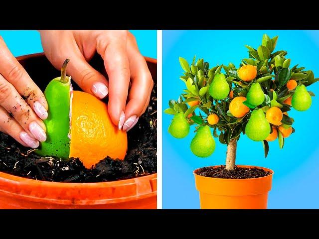 Simple But Genius Ideas And Hacks For Plants