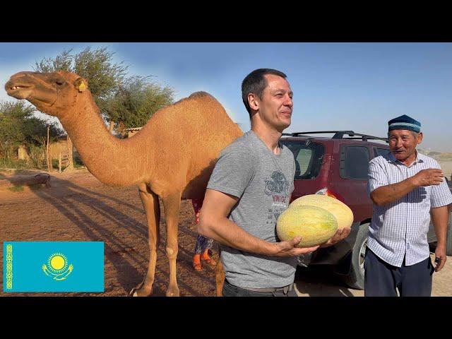 Amazing Kazakhstan Village!  Life on a Camel Farm
