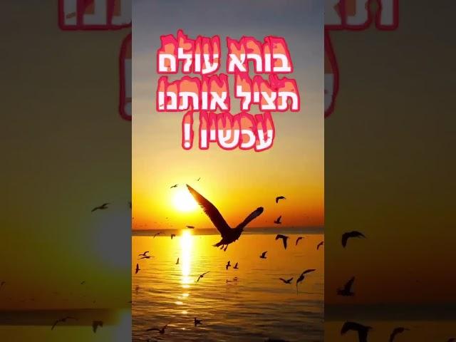 כל מה שקורה כעת זה כדי שנזעק לגאולה-מידת הדין מקטרגת - החייל לידור דהן במסר חשוב לעם ישראל