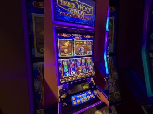 Timber Wolf Gold Revolution slot machine with Syd!