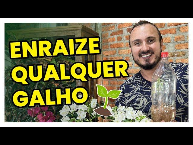 Técnica para enraizar qualquer galho sem gastar 1 real