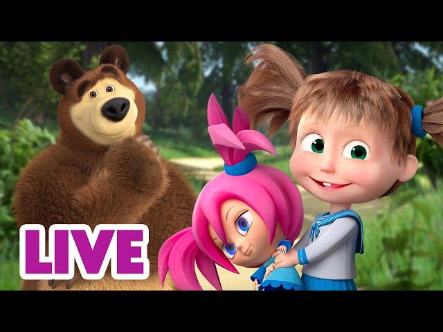  LIVE STREAM  Masha and the Bear  Fun unplugged 