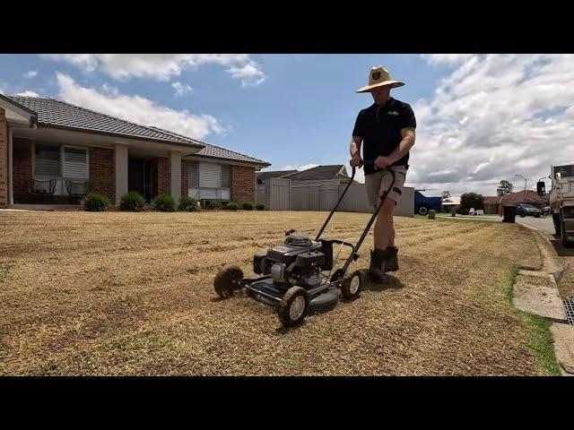 Get Ready for The Ultimate Lawn Makeover! Spring Time KIKUYU Lawn Renovation