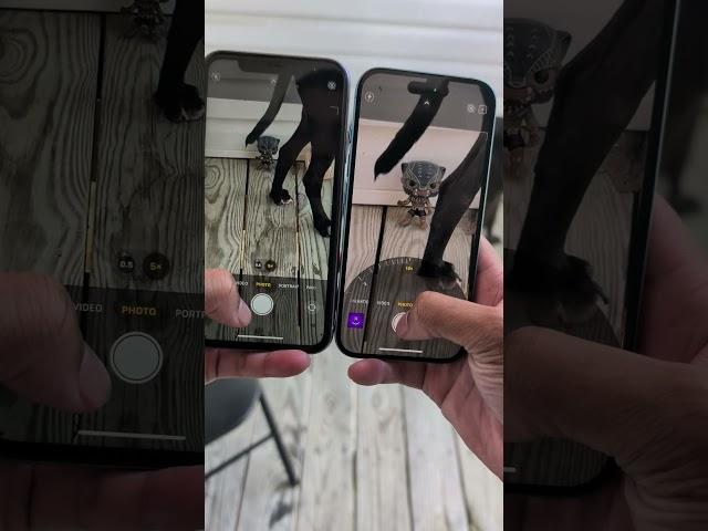 iPhone 11 VS iPhone 16 - Camera Zoom Test!