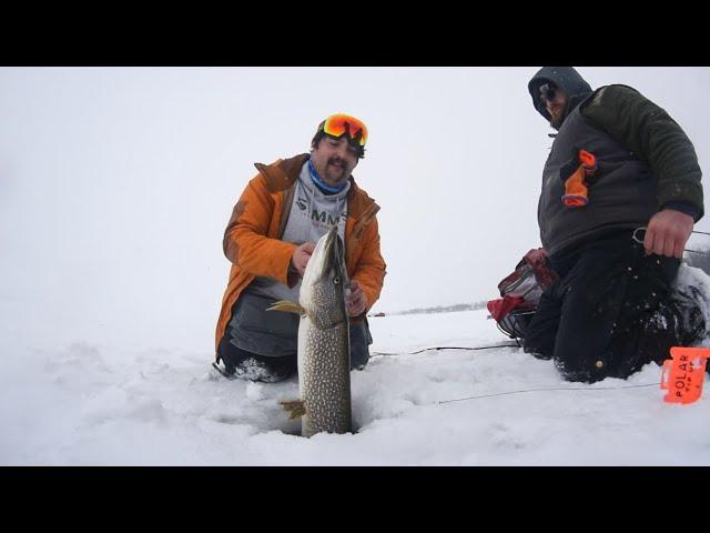 Ending The Season On A High Note! (Chasing Champlain Northern Pike With The Crew)