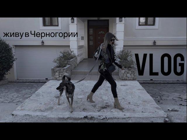 Vlog Сервис в Черногории | Что значит Полако