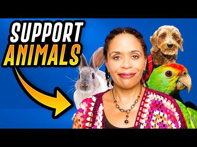 What Does an Emotional Support Animal Really Do?