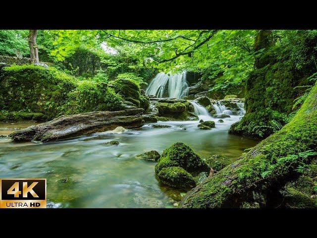 Waterfall 4K - Relaxing Music Along With Beautiful Nature Videos