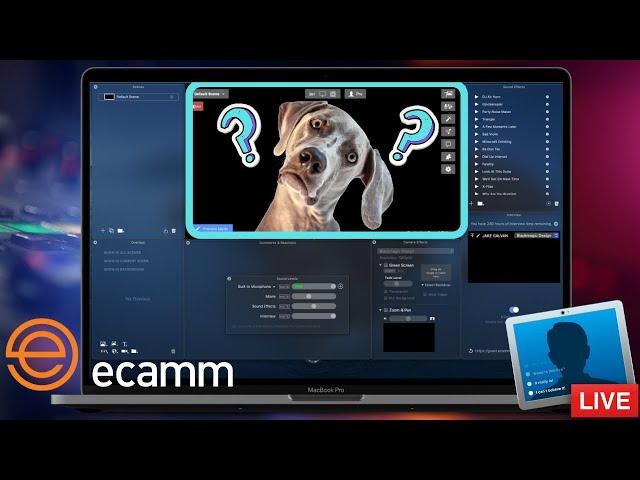 Ecamm Live Tutorial - Best Livestream Platform for Mac 2021