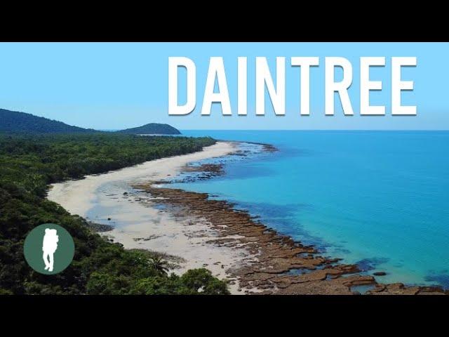 Daintree Rainforest, Tropical North Queensland, Australia Nature