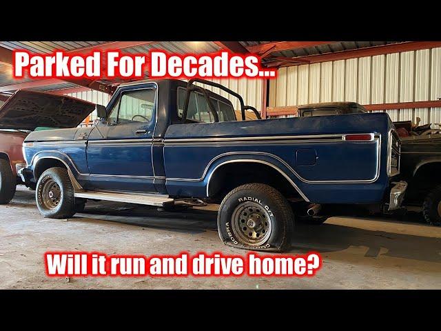 BARN FIND 78 F-150! Can we drive it home?