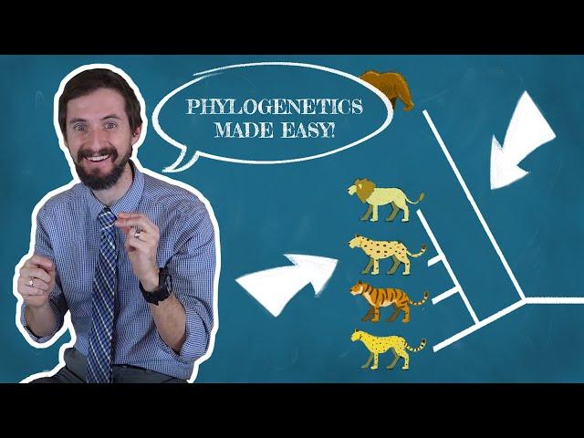 Clint Explains Phylogenetics - There are a million wrong ways to read a phylogenetic tree