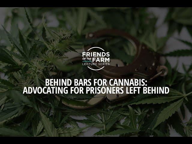 Behind Bars for Cannabis: Advocating for Prisoners Left Behind