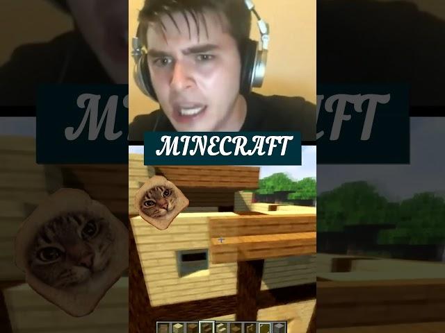 The cat is discouraged in Minecraft #minecraft  #shorts  #megamod