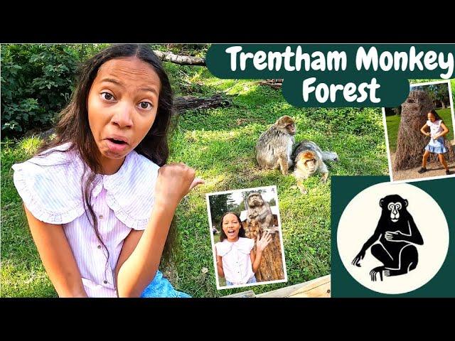 TRENTHAM MONKEY FOREST