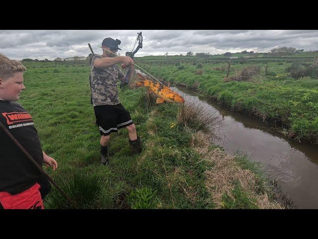 Bow Fishing Koi Carp - Off To See The Heifers & Calving's Almost Done, So Close!