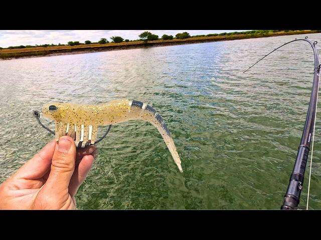 Chasing Monster Barra in the Creeks!