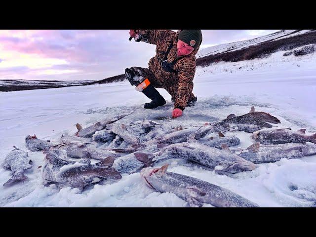 ПЕРВЫЙ ЛЁД!! И ТОННЫ РЫБЫ В ВОДЕ!!!НОЧЁВКА НА ГОРНОЙ РЕКЕ!!!