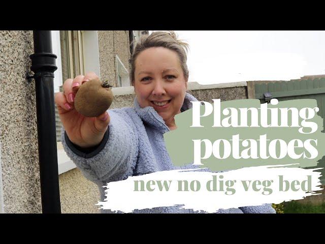 New no dig raised bed and planting potatoes in grow bags! Beginner gardening journey