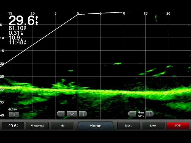 Garmin LiveScope and Striper fishing