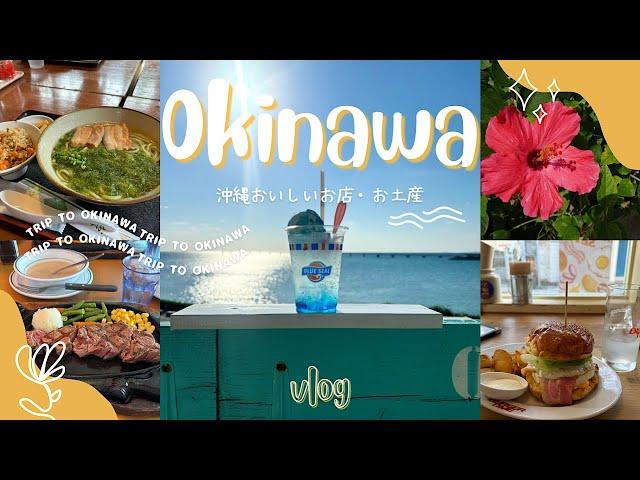 【Vlog】沖縄に30回訪れた私がおすすめするモデルコース•沖縄グルメ•お土産6選/美味しいものを食べ尽くす旅/ガンガラーの谷/美ら海水族館/備瀬フクギ並木/国際通り/沖縄旅行/2泊3日/沖縄土産
