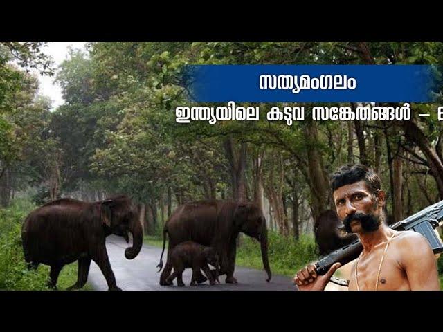 Sathyamangalam Tiger Reserve | Tiger Reserves in India 6