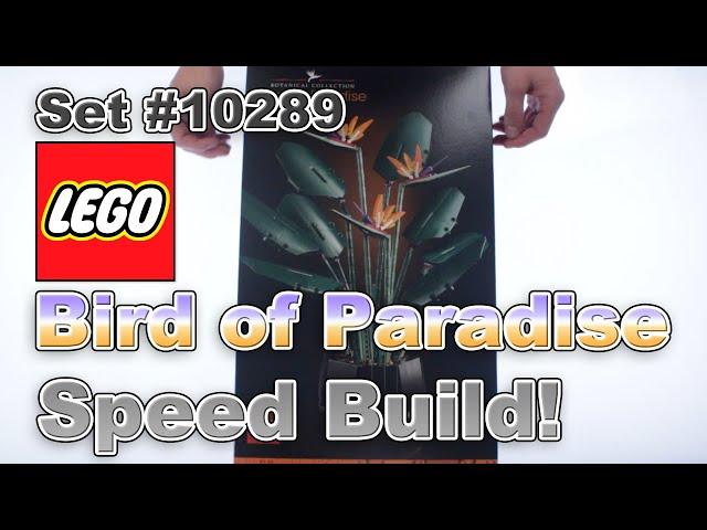 Speed Build: LEGO Bird of Paradise | 10289